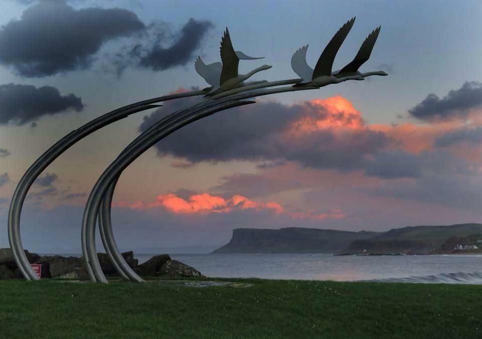 The Rose Garden Room - Self Contained Studio Ballycastle Dış mekan fotoğraf